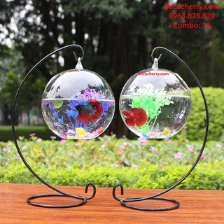 [Tặng kèm phụ kiện ] combo 2 bể cá mini 33