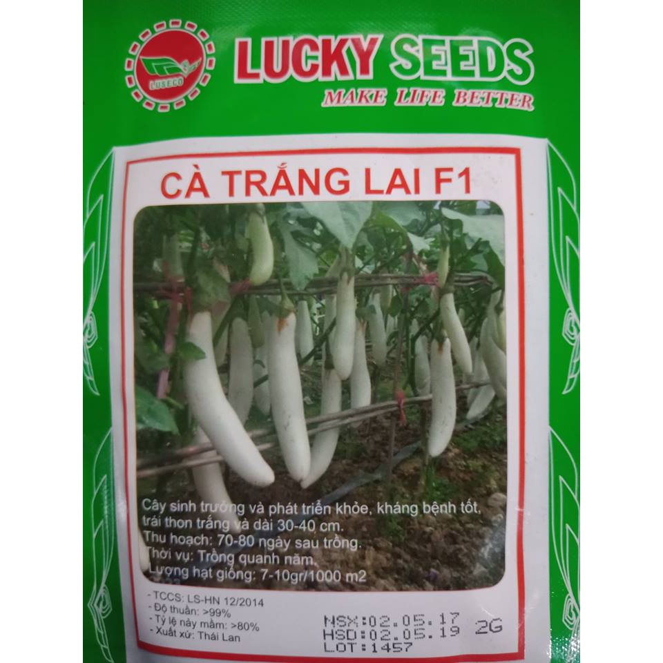 Hạt giống cà trắng quả dài F1 Thái Lan -2gr