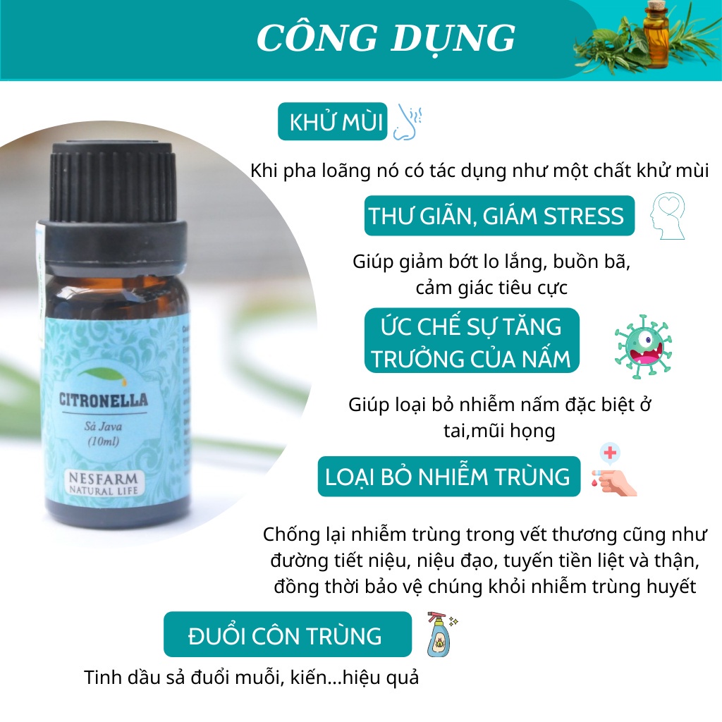 Tinh dầu sả Java thiên nhiên thơm phòng đuổi muỗi nguyên chất cao cấp Nesfarm TDS10