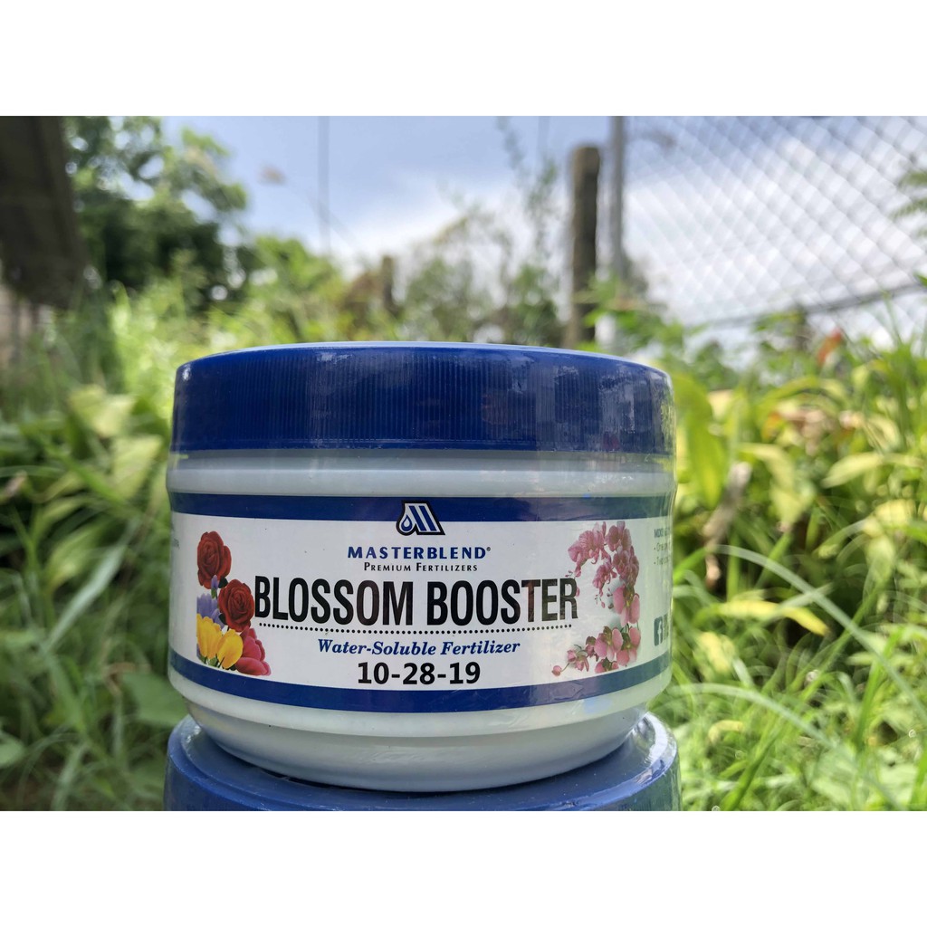 Phân Kích ra hoa  Masterblend