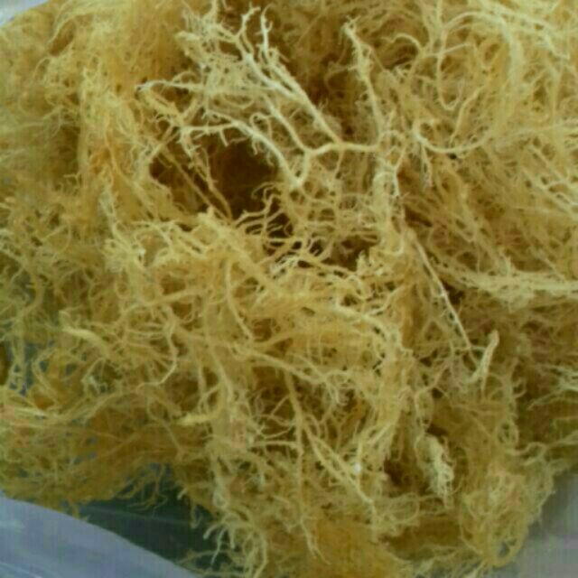 0.5 kg Rong sụn