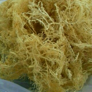 0.5 kg rong sụn