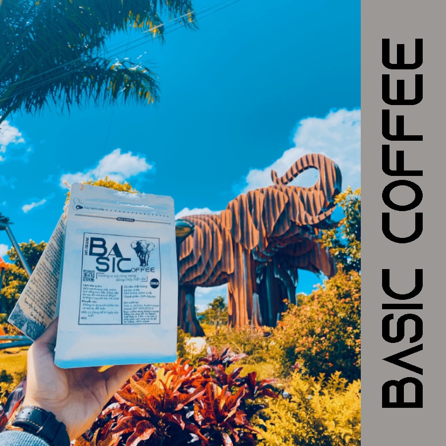 Cà Phê Culi Robusta Honey Nguyên Hạt Nguyên Chất Rang Mộc Ogranic 500gr Bassic Coffee Gu Mạnh Cafe Sạch Đăk Lăk