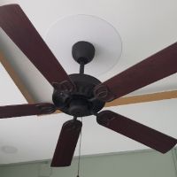 QUẠT TRẦN SINWA F62 AB/ORB