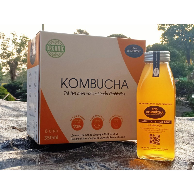 TRÀ KOMBUCHA - THANH LỌC &amp; THẢI ĐỘC VỊ GỪNG + NGHỆ THÙNG 6 CHAI.