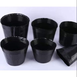 Combo 8 túi bầu ươm cây 16*14,18*16,21*17,28*25