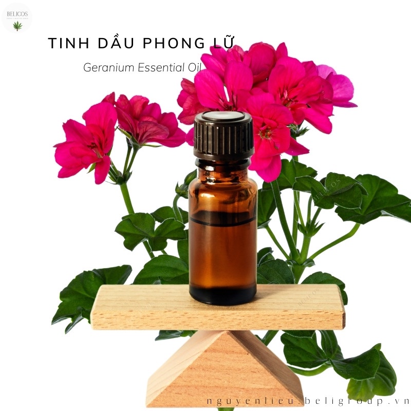 Tinh Dầu Hoa Phong Lữ nguyên chất 30ML - Nguyên liệu nến thơm