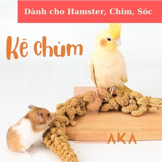 Kê sợi, kê chùm hạt to và đẹp dành cho thú cưng nhỏ