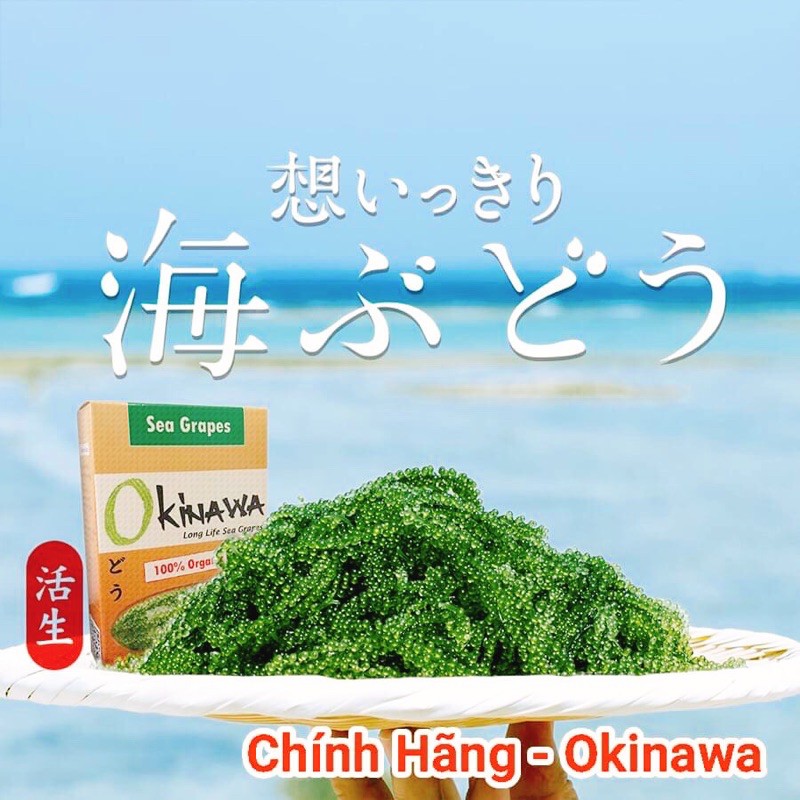 Rong Nho Okinawa Nhật Bản Ko Tanh + CTKM Hấp Dẫn Xem Dưới Nội Dung | BigBuy360 - bigbuy360.vn