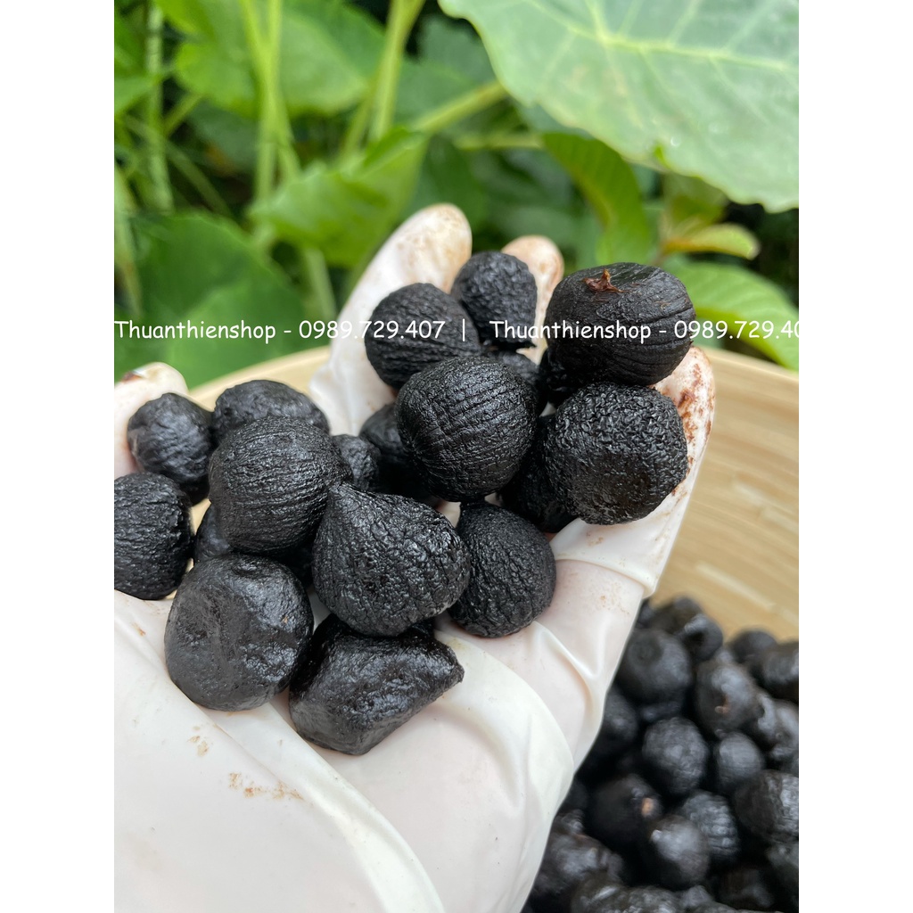 Tỏi Đen Cô Đơn Lên Men