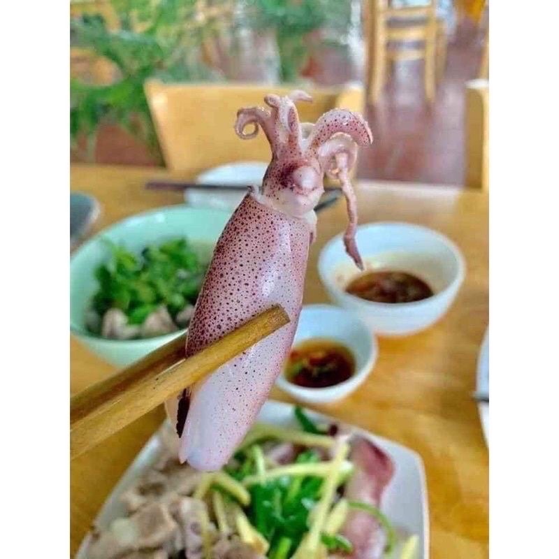 Mực ống tươi 1kg ngon ngọt ❤️ GIÒN NGON❤️ 1kg xào , hấp , thả lẩu