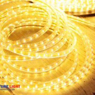 10m dây 5050 kèm dây nguồn