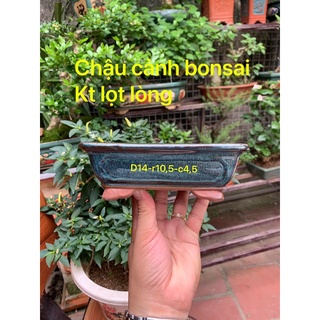 Chậu chữ nhật chân quỳ mini size M- Chậu trồng cây bonsai - chậu trồng sen đá - chậu cảnh bonsai