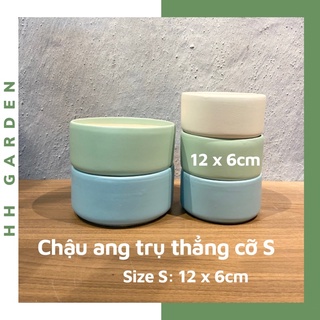 Chậu ang trụ thẳng, Cỡ Nhỏ 12 6cm, ang trồng cây tiểu cảnh