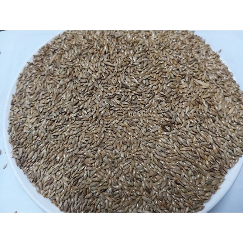 Hạt láng dài gói 1kg