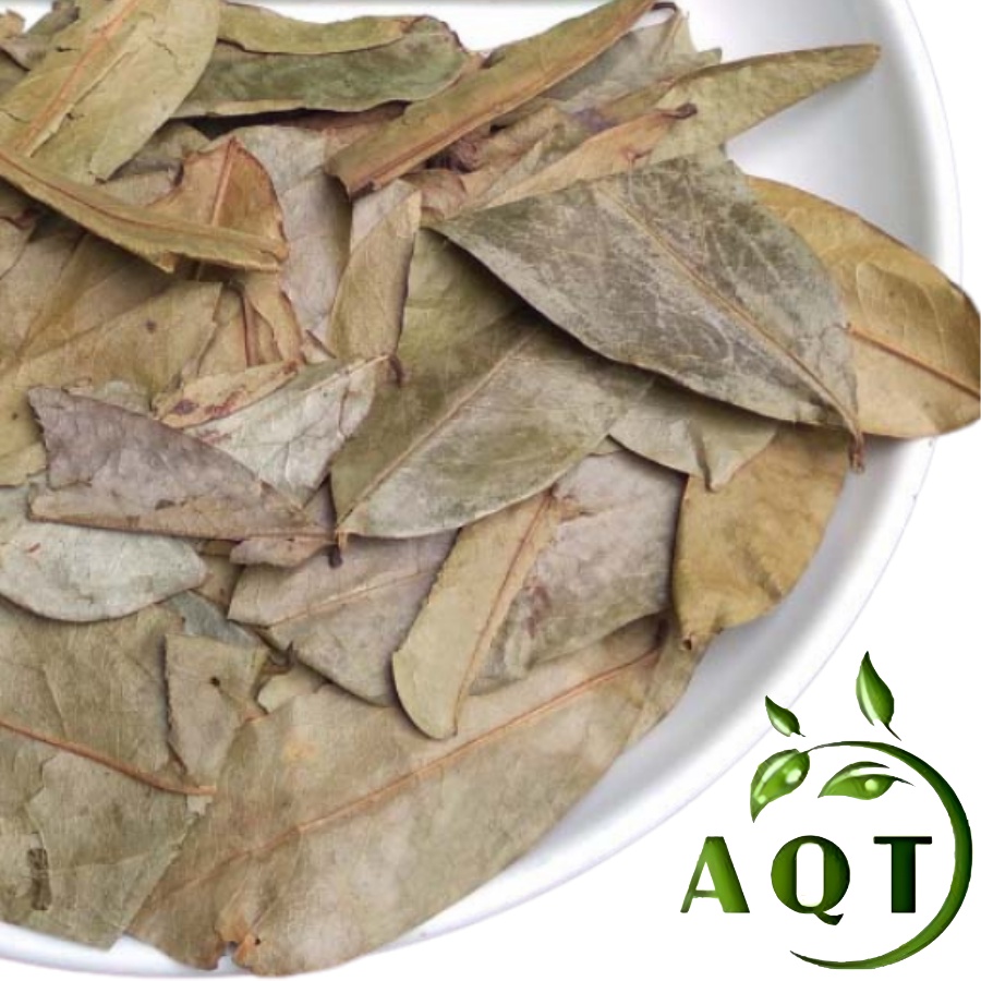 500g Lá Mãng Cầu Xiêm Khô, Trà Lá Mãng Cầu Xiêm Ngừa Ung Thư, Hạ Đường Huyết