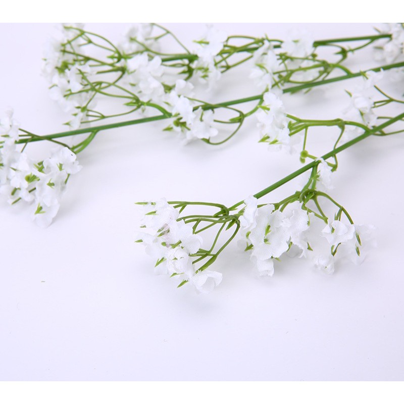 Bộ sưu tập lá - Chụp ảnh decor CHÙM HOA BABY TRANG TRÍ