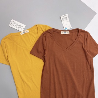 Áo pull cổ tim xk nhiều màu