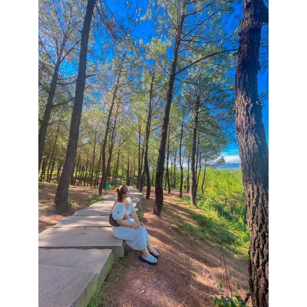 Bigsize siêu phẩm, hót hít , đầm bigsize , đầm dự tiệc