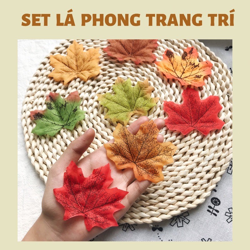 Set 8 lá phong màu đỏ trang trí chụp ảnh