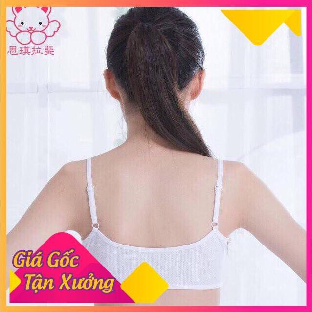 Áo Lót Nữ, Áo Bra Học Sinh,Bé Gái Có Đệm Ngực - Bra 6059