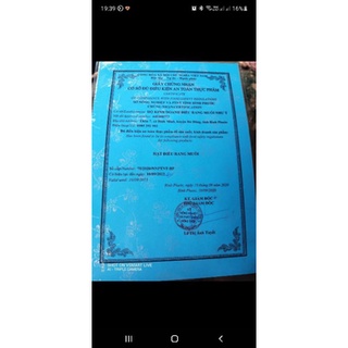 [Ngũ Cốc Ăn Vặt]Hạt Điều Rang Muối BomBo 500Gr