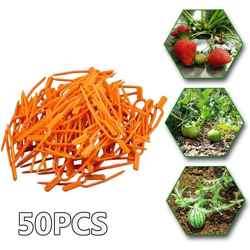 Kẹp Cố Định Cây Nông Trại Chuyên Dụng