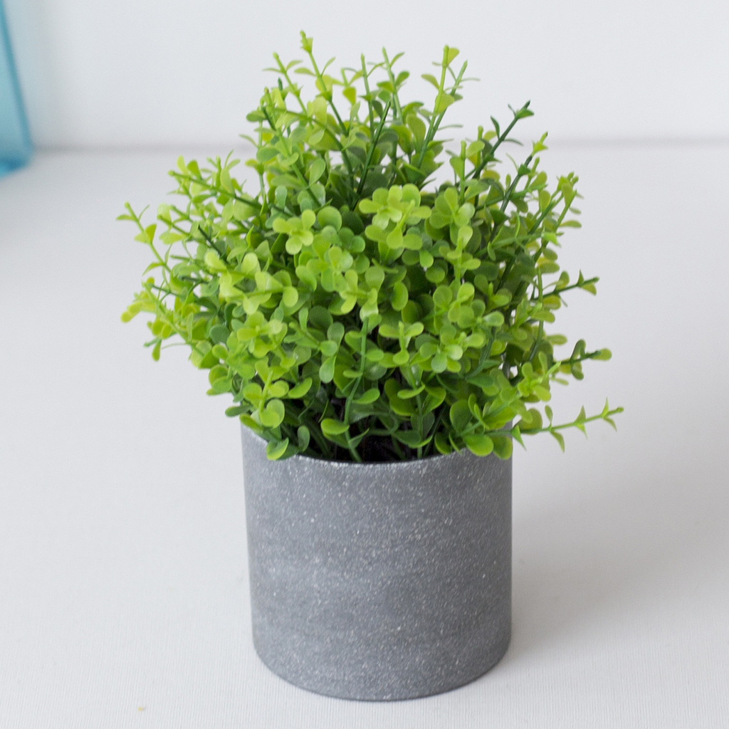 Chậu cây bonsai giả dành cho trang trí sân vườn