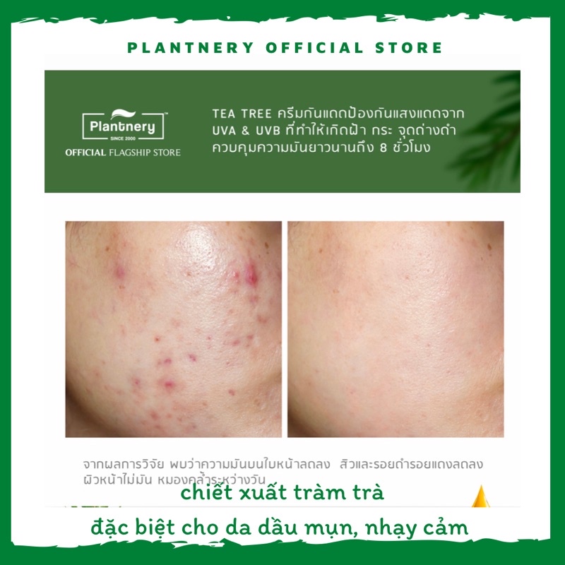 Kem chống nắng tràm trà Plantnery Tea Tree Sunscreen SPF 50 PA +++ 30 gram Thái Lan dành cho da dầu mụn