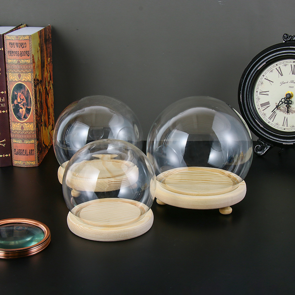 Lọ Thủy Tinh Trồng Cây Thủy Tinh Trong Suốt Đế Gỗ Hình Cầu Có Đèn Trưng Bày