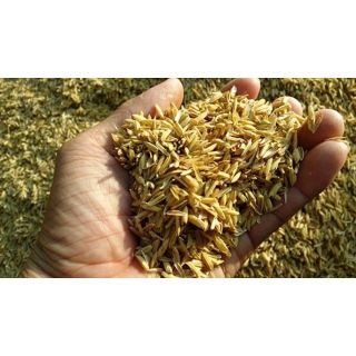 Vỏ trấu -500gr