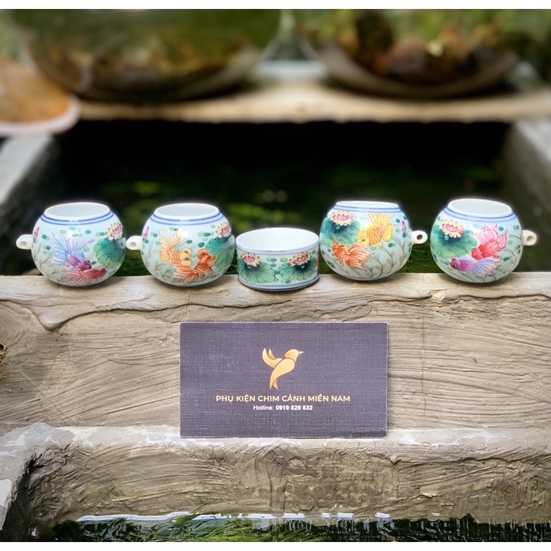 Cóng Chim Vẽ Tay Cửu Chính Đường - Choè Đất/Tiểu Mi