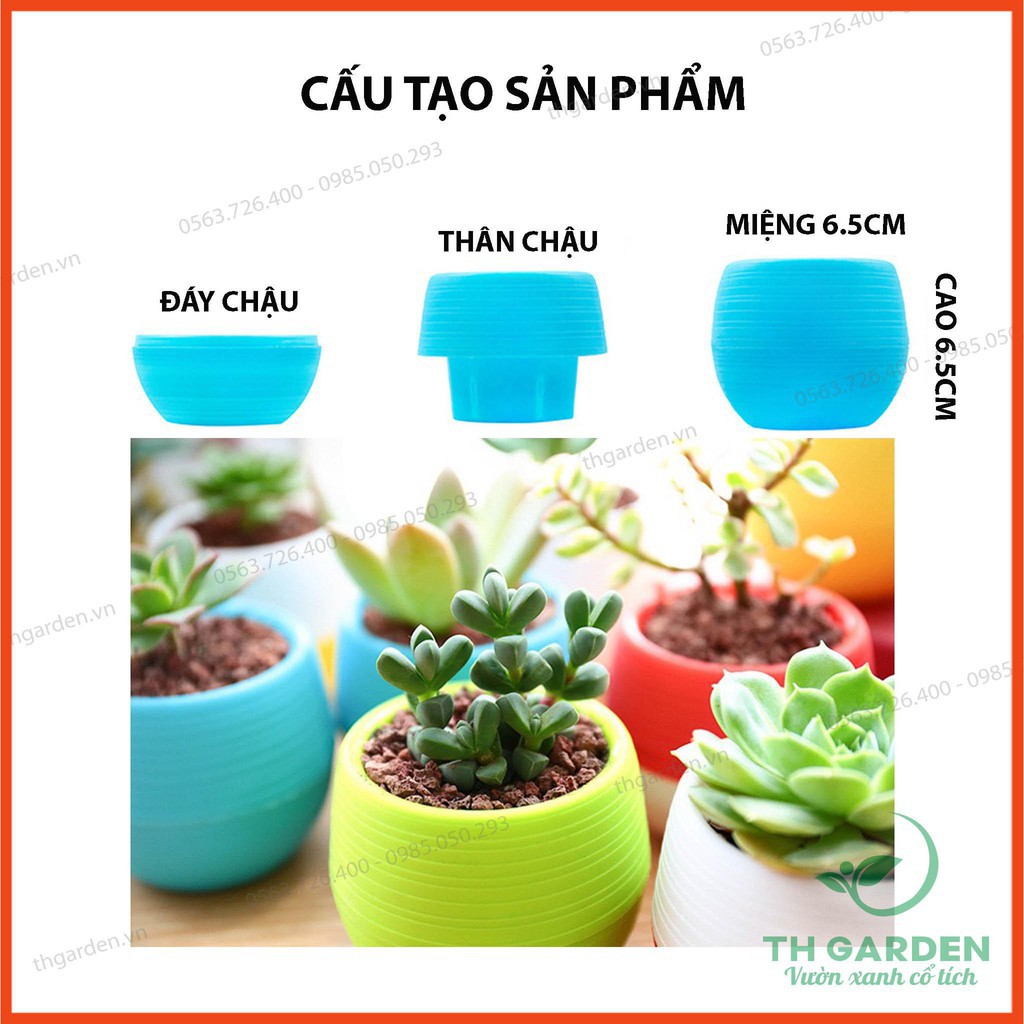 Chậu Trồng Cây Mini Có Đáy Trữ Nước - Đa dạng màu sắc - Trang trí nhà cửa, văn phòng tuyệt đẹp