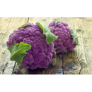 Hạt Giống Súp Lơ Tím