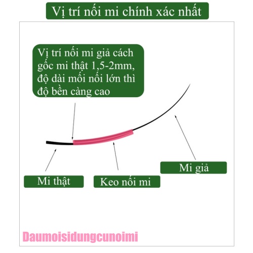 Lông mi giả dạng chùm Nesura Hàn Quốc [xả kho] 10D/0.1/C, mi giả chùm tự nối độ dày 0.1, độ dài 9-14mm