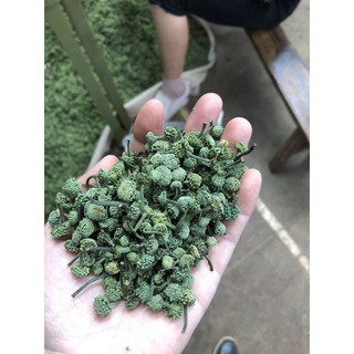 500g nụ tam thất bao tử siêu rẻ