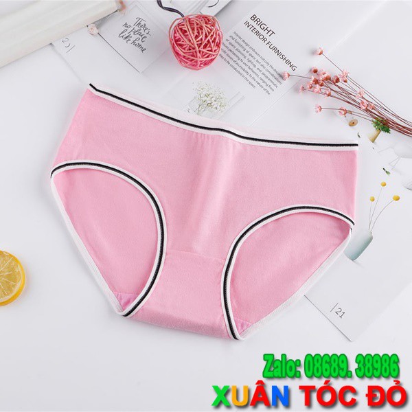  SỈ ZALO RẺ HƠN NHIỀU_ Quần Lót Cotton Nhiều Màu Viền Kẻ Mới Siêu Đẹp H013 | BigBuy360 - bigbuy360.vn