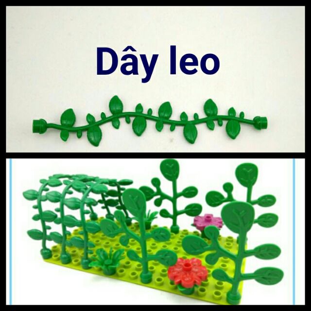 Các chi tiết đặc biệt lắp ráp vườn cây