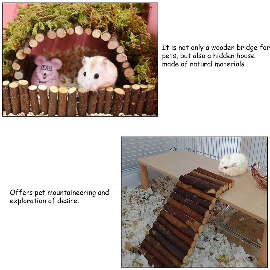 Thang gỗ uốn đa năng , đồ chơi  trang trí chuồng cho Hamster