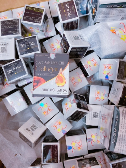 5 hop Cao sâm linh chi