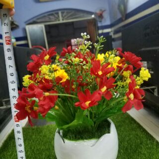 Chậu hoa trang trí