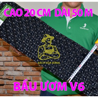 BẦU ƯƠM V6 CUỘN DÀI 50M - CAO 20CM ĐỘ DẦY 0.6MM