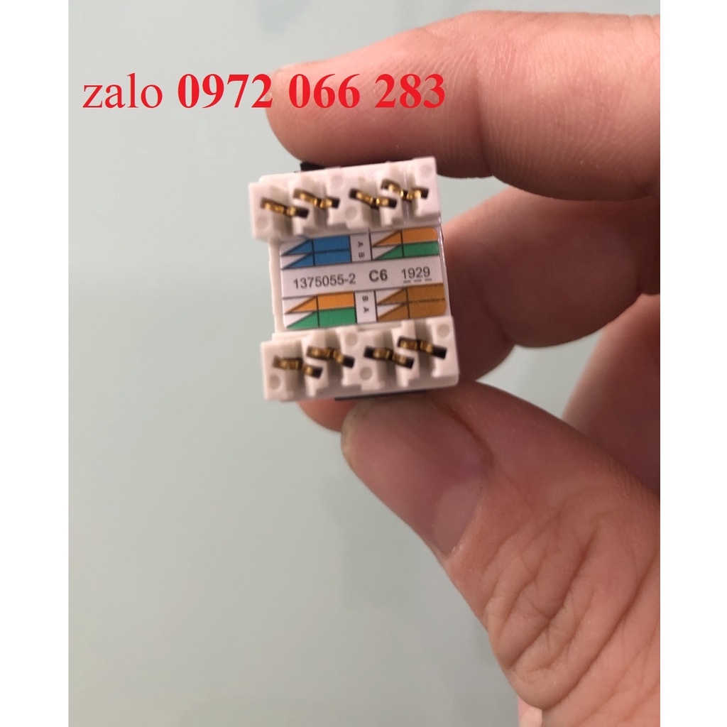 Nhân lắp cho patchpanel thanh đấu nối mạng