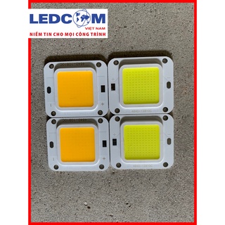 Chipled COB 50W cho lắp ráp đèn LED