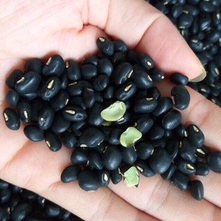 1Kg Đỗ Đen Quê xanh lòng