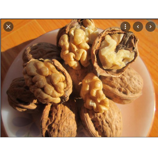 500g Nhân quả óc chó khô Walnut Halves &amp; Pieces Atlas(chiết từ gói lớn)