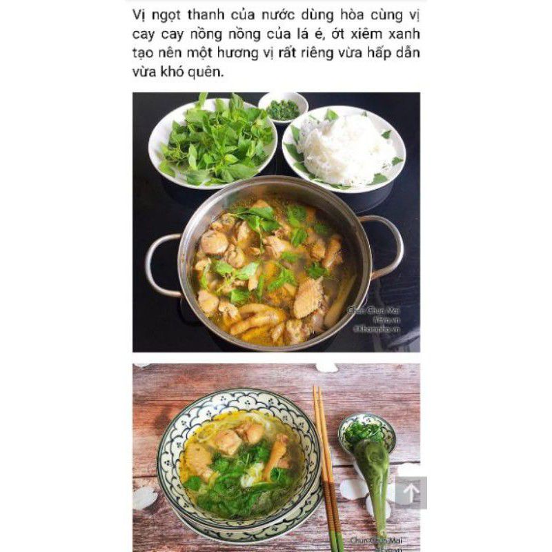 1 KG LÁ É TƯƠI LÚC NÀO CŨNG "CÓ SẴN"CHỈ CẦN THÈM LÀ GỌI ZALO 0908899081