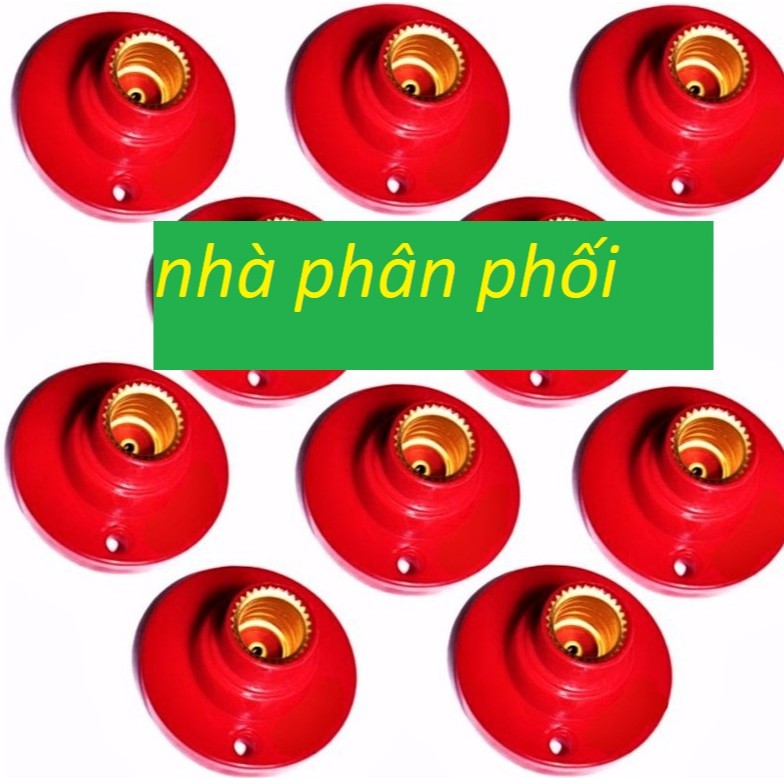 10 đui đèn e12