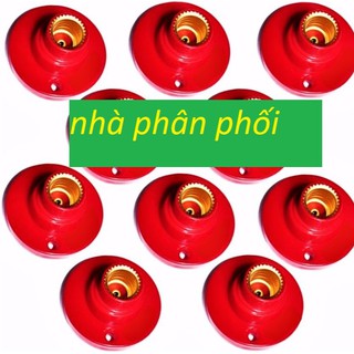 10 đui đèn e12