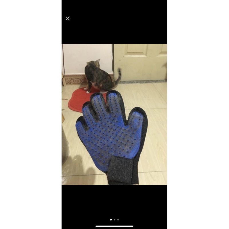 Găng tay chải lông chó mèo